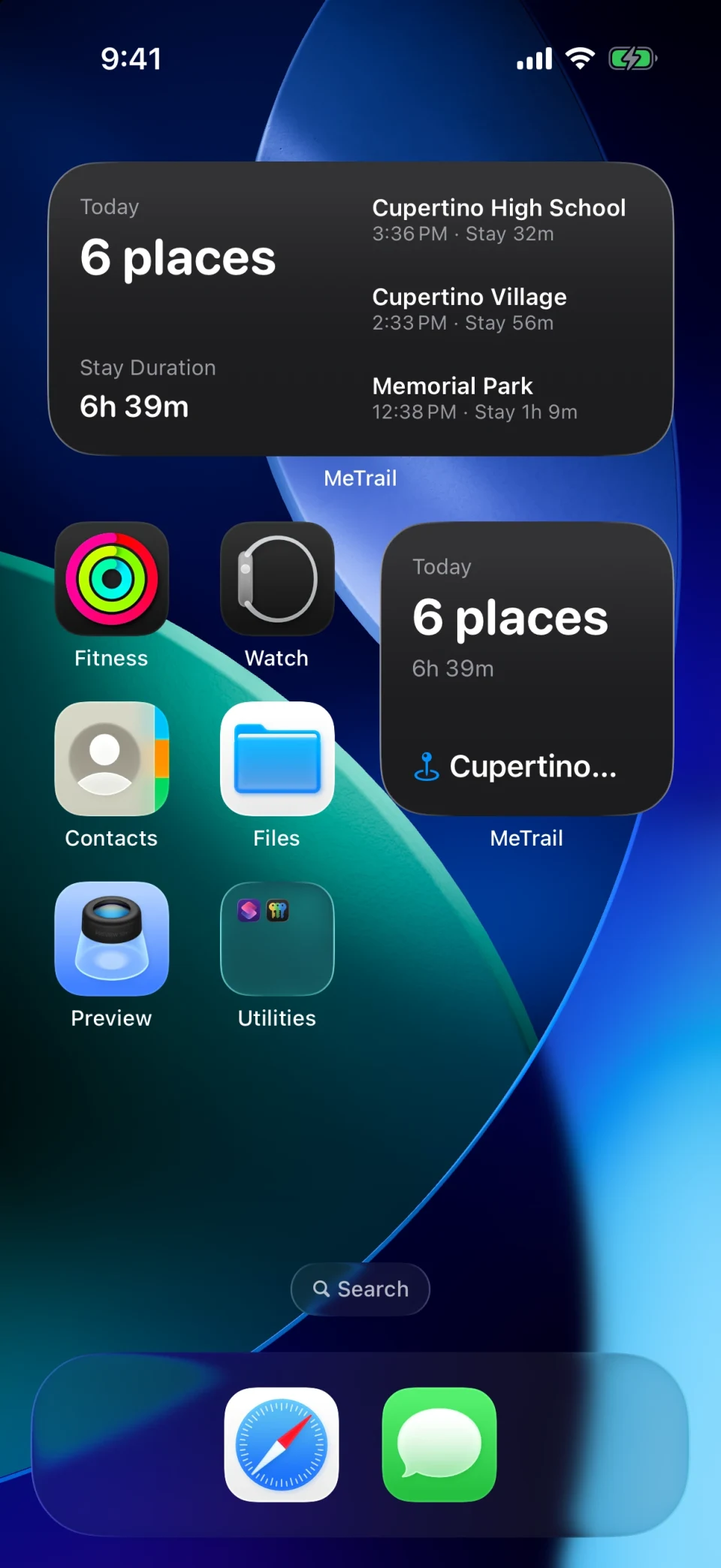 MeTrail Home Screen widget showing today’s summary and recent records